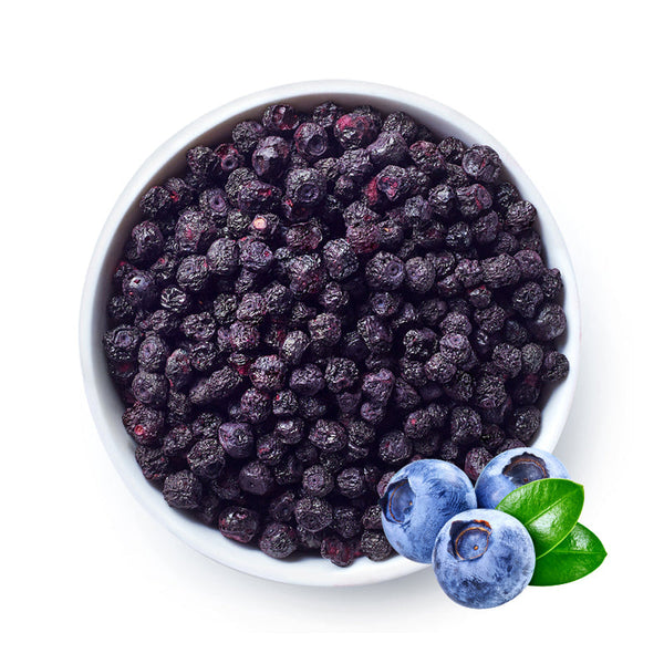 Blueberry desidratados